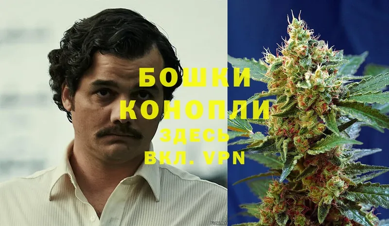 Каннабис SATIVA & INDICA  купить наркотики сайты  Кедровый 